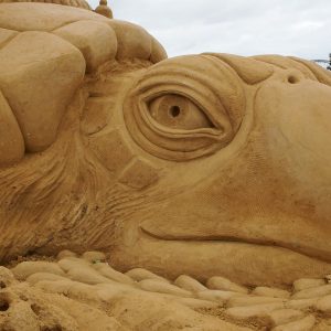“OCEAN” A Sand Sculpting Adventure