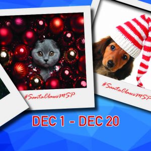 Santa Claws Pet Photo Competition