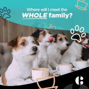 Pet Friendly Dining at The coffee Club