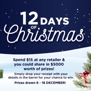 12 Days of Christmas at the Plaza