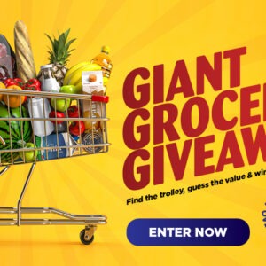 Giant Grocery Giveaway
